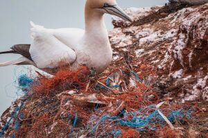 Hava Kirliliğinin Sağlık ve Çevre Üzerindeki Etkileri Hava Kirliliğinin Sağlık ve Çevre Üzerindeki Etkileri, hava kirliliği nedenleri ve sonuçları