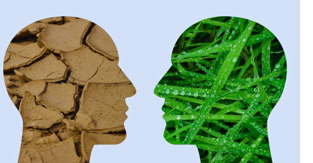 Küresel İklim Değişiklikleri Nedir? – Gezegenimizin Geleceğine Işık Tutan Sorular ve Çözümler