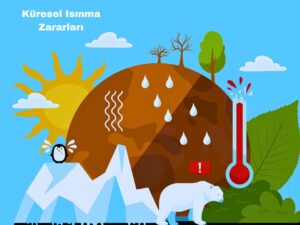 Küresel Isınma Zararları, Çevresel Etkiler Küresel Isınma Zararları, Çevresel Etkiler