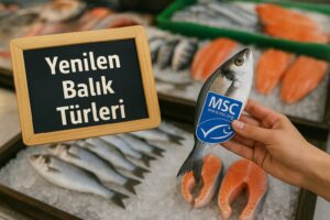 yenilen balık türleri nelerdir, hangi etiketlere önem vermek gerekir alışveriş yaparken